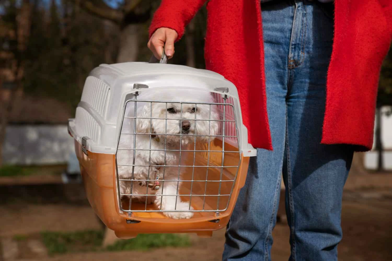 best dog carrier