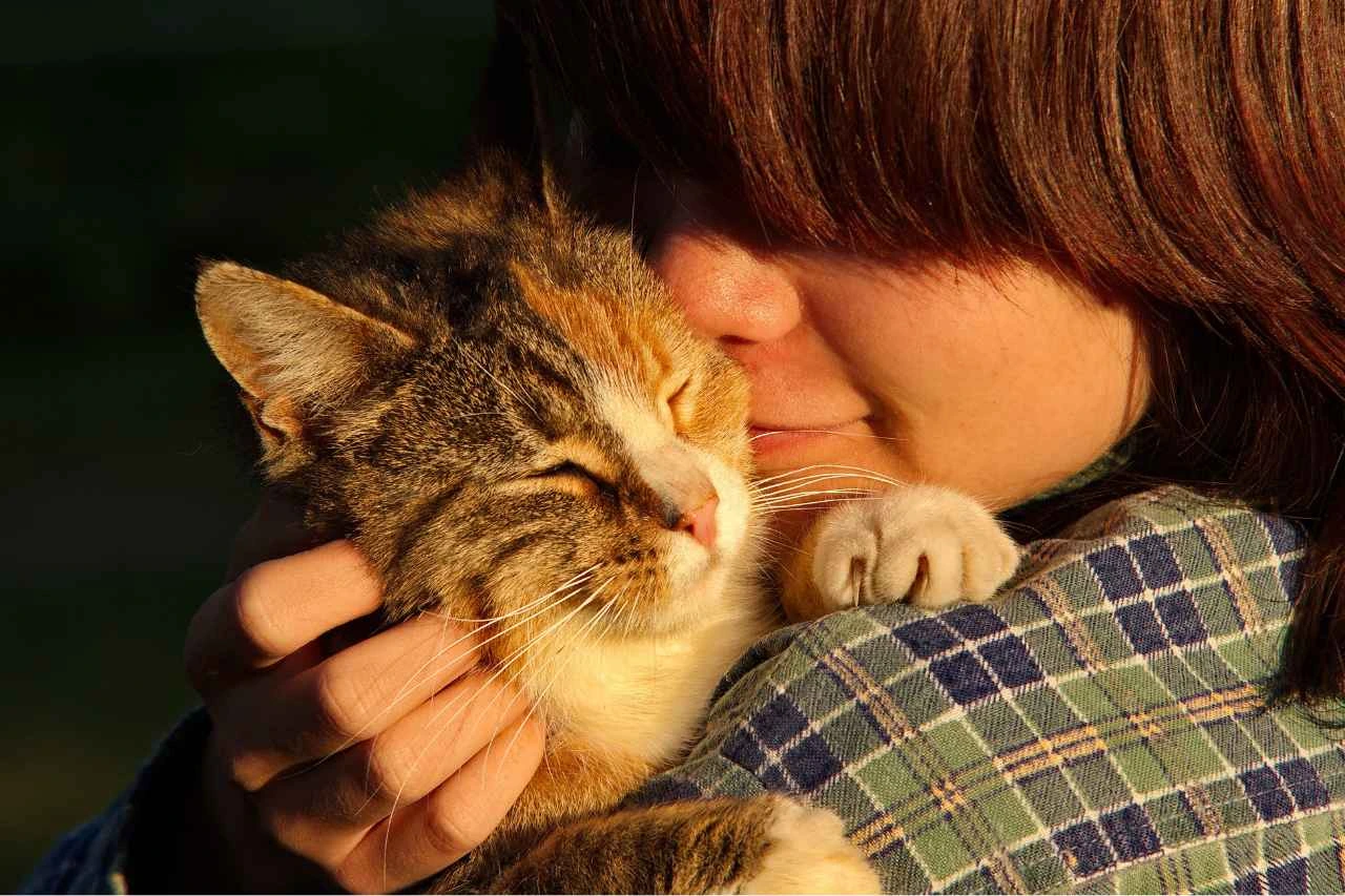 Fake pet travel agencies