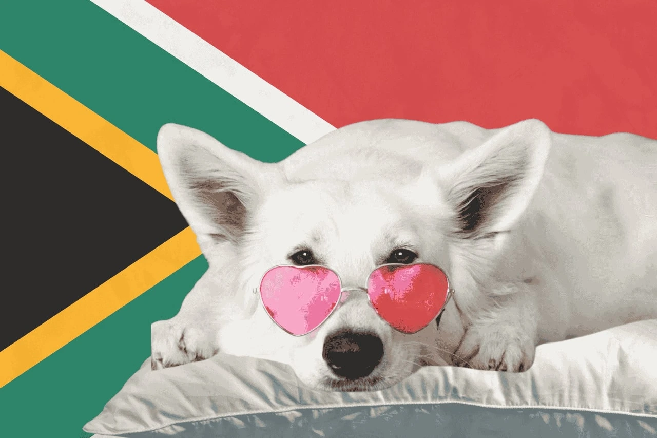 pet transport south africa to uk