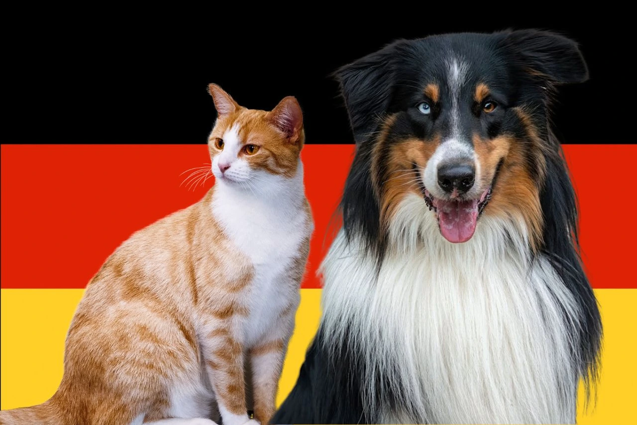 Pet transport to germany from uk