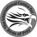 ICPB Logo